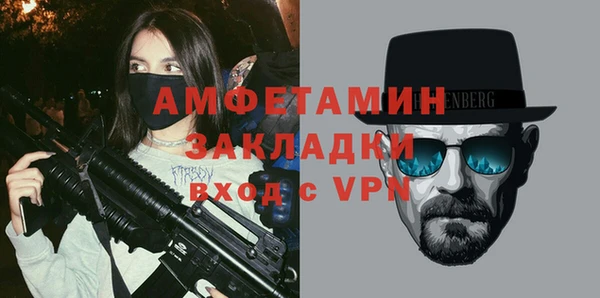 спиды Ельня