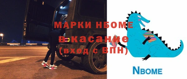 спиды Ельня