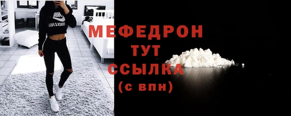 спиды Ельня