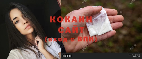 спиды Елизово