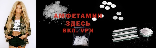 спиды Ельня