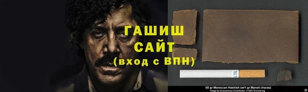 спиды Ельня