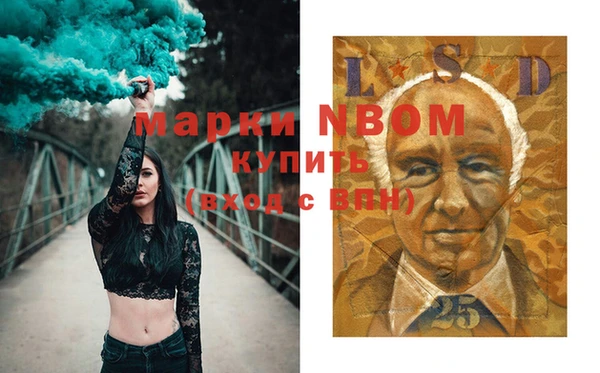 спиды Ельня