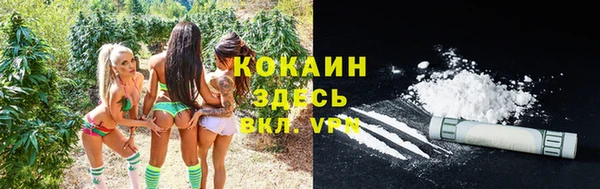 спиды Елизово