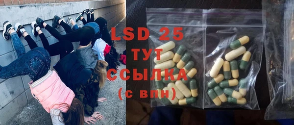 спиды Ельня