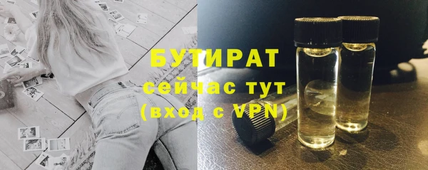 спиды Ельня