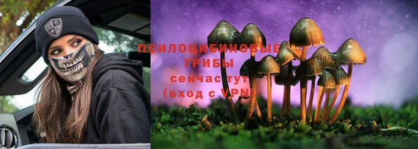 спиды Елизово