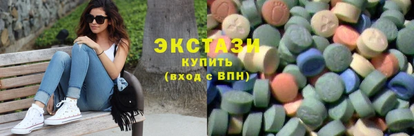 спиды Ельня